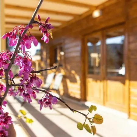 Agrelia Homes דירה