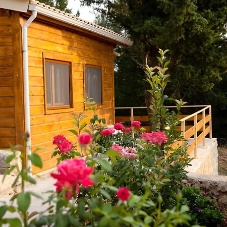 דירה Agrelia Homes Dragano