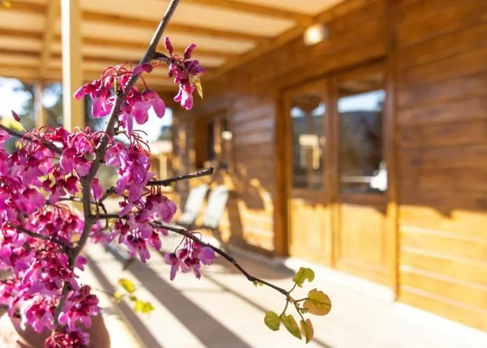 Agrelia Homes Apartament